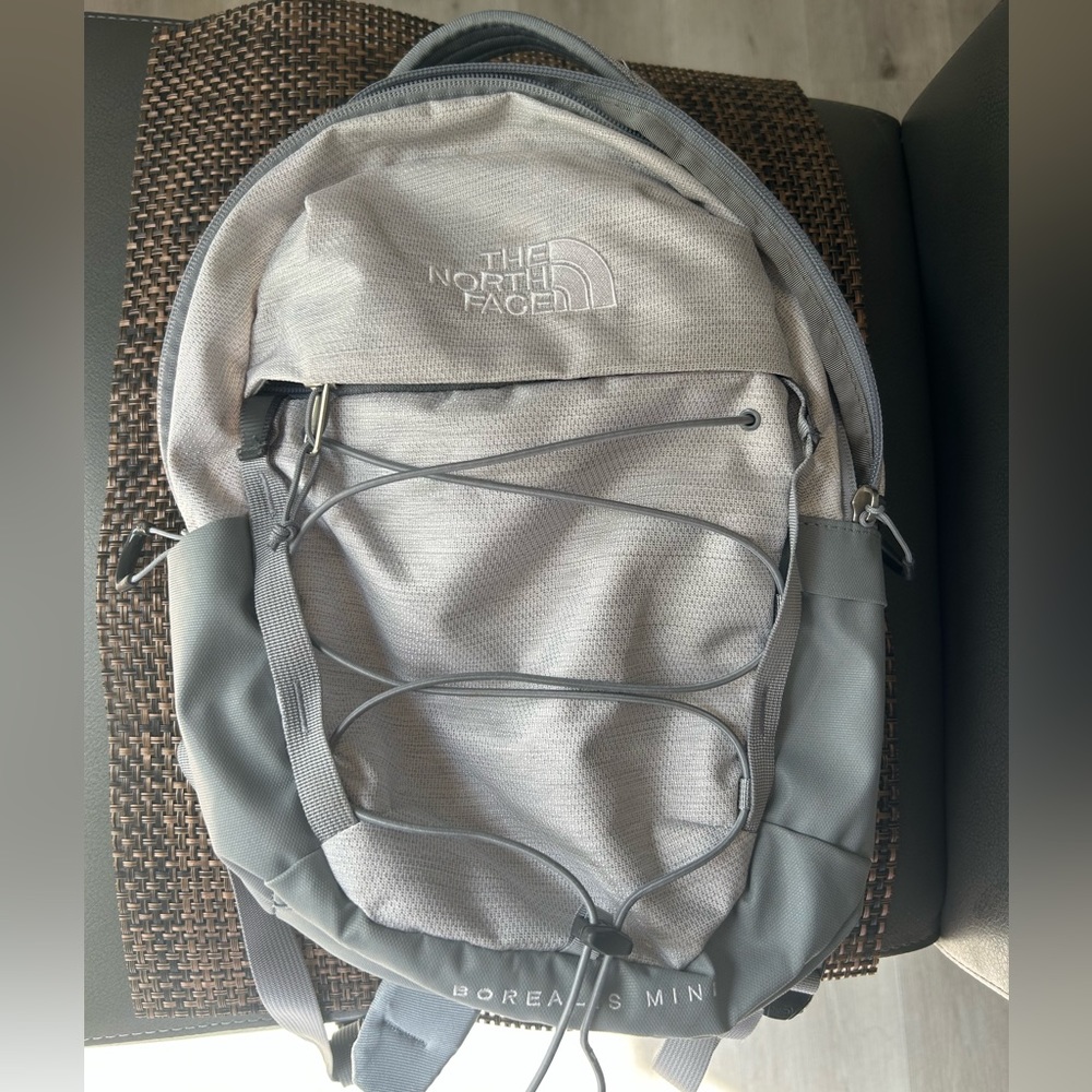 North Face Borealis Mini backpack